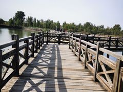 -野鸭湖国家湿地公园