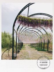 -水八仙生态园