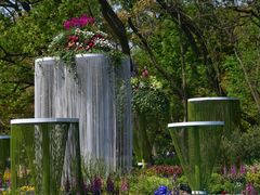 -上海共青森林公园