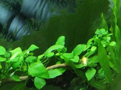 -南京金牛湖风景区