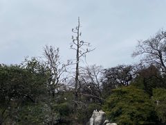 -昆明动物园