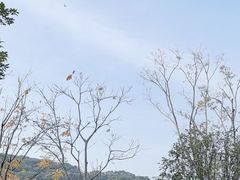 -牛岗山公园