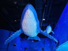 -常州海昌海洋探索馆