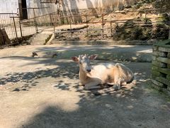 -白鹿洞书院
