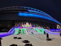 -沈阳奥体冰雪嘉年华