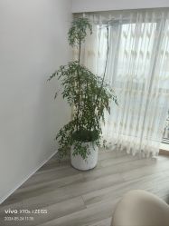 -HEYAN荷妍专业脱毛连锁机构