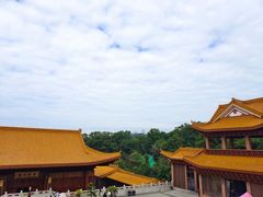 -深圳仙湖植物园