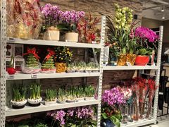 -七鲜超市(瑞虹天地太阳宫店)