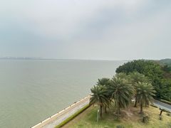 -大湾区中央湿地公园
