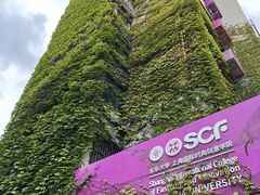 -东华大学(松江校区)