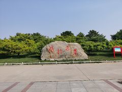 -塘沽森林公园