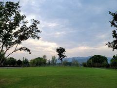 -长田漾湿地公园