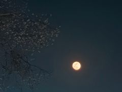 -黎阳老街