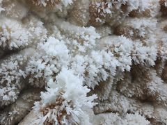 -湖南省地质博物馆