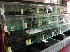 水产区-祈胜邨•顺德鱼生•顺德菜(容桂店)
