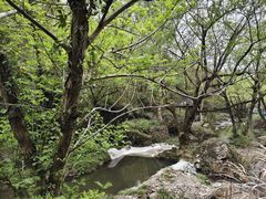 -夏霖九天银瀑风景区