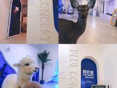 -Blue Concept Cafe&Farm·關於藍