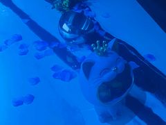 -INLOVE KTV(淮海路店)