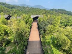 -大唐贡茶院
