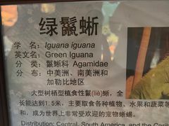 -上海大自然野生昆虫馆(东方明珠·爬宠昆虫探索中心)