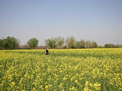 -汉长安城未央宫国家考古遗址公园