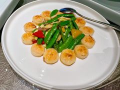 -同仁堂粹和餐厅·食养养生宴(新大都店)