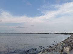 -春花秋色城市公园