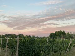 -安德鲁户外烧烤帐篷营地(马泉营店)