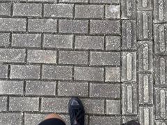 -ZEMOCAFE·FUSION FOOD(西交利物浦店)