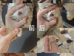 -听TA说宠咖·宠物生活馆(天韵水岸店)