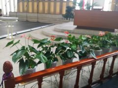 -海淀教堂教堂婚礼