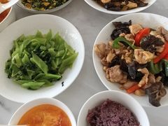 -悦芽照护月嫂+育儿嫂(杭州店)
