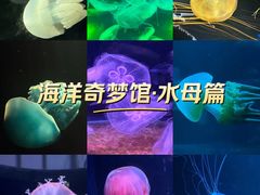 -欢乐海岸海洋奇梦馆