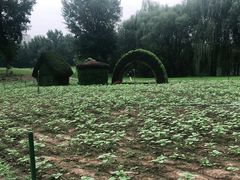 -长白岛森林公园