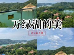 -河源万绿湖美思威尔顿酒店