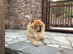 -看见远方·莫干遥远的山民宿
