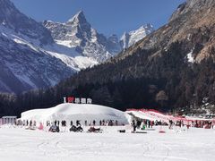 -金鼎雪山牦牛杂火锅(理县总店)