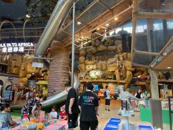 -卡通尼·Safari非洲探索乐园·生日会(金桥国际商业广场店)