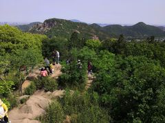 -灵岩山风景区