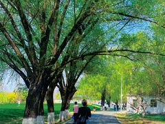 -祥源·阜阳生态乐园