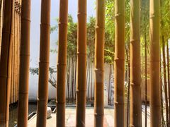 景观位-竹里馆·淮扬菜·功夫茶(老门东店)