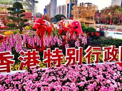 -海心沙亚运公园