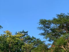 -白石龙音乐公园