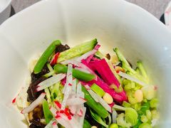 -秀儿四九城·新京菜(亚运村鸟巢店)