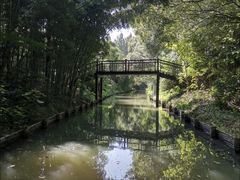 -同里国家湿地公园