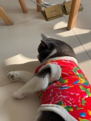 -糖·美学·美甲