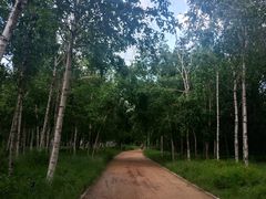 -长春市南湖公园