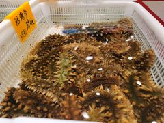 -老虎滩船说·海胆水饺·大连海鲜(老虎滩店)