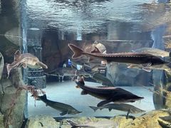 -波塞冬旅游度假区