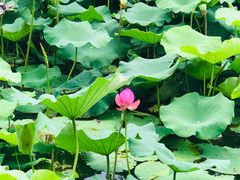 -3W咖啡(国家软件园店)